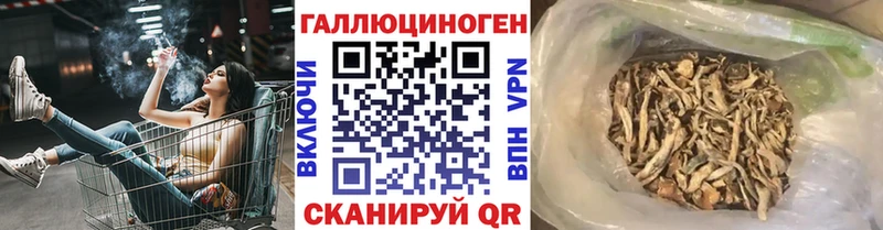 ОМГ ОМГ рабочий сайт  Ясногорск  Псилоцибиновые грибы Psilocybine cubensis 